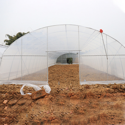 Serra di plastica del tunnel del campione/singola serra di verdure di plastica della portata