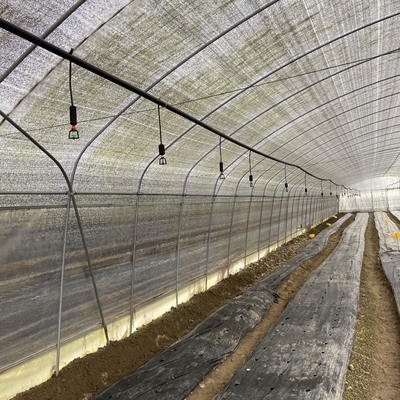 Singola portata di ventilazione del film plastico della serra bassa laterale del tunnel per la crescita del fungo