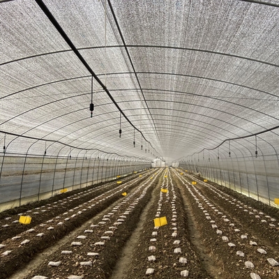 Il singolo nero Mesh Mushroom Cultivation In Greenhouses della serra della portata di doppio strato