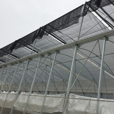 Alto controllo della temperatura di coltura idroponica della serra del tunnel del multi arco per coltivare