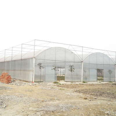 Multi serra della portata di stile di Multispan dell'alto film plastico gotico del tunnel per la crescita del pomodoro