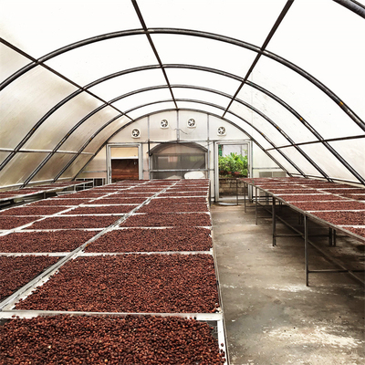 Peperoncini rossi che asciugano l'essiccatore solare della serra del riscaldamento del bordo di PC della cupola per l'agricoltura di agricoltura