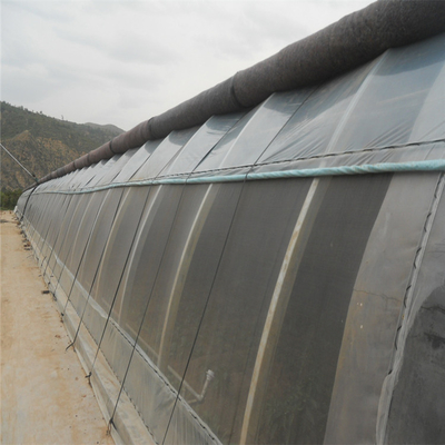 Passivo alimentato solare d'acciaio galvanizzato caldo della serra in solare