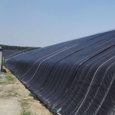 Agricoltura che coltiva passivo idroponico solare della serra solare
