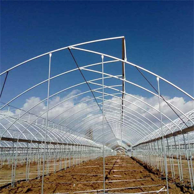 Forte ventilazione di plastica della copertura a shed della serra dell'alta multi portata