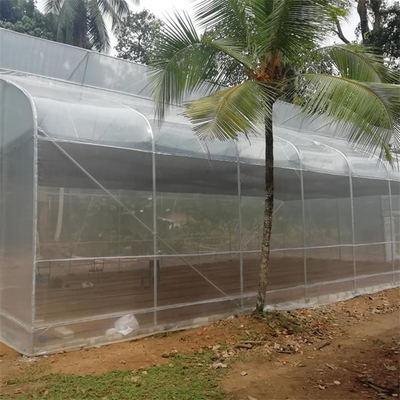 Serra crescente agricola della pellicola di polietilene di arché tropicali