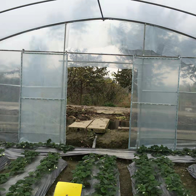 serra agricola della pellicola di polietilene della serra di 6m per coltivazione del fiore