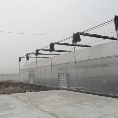 Grande serra del film plastico/serre 20m - 100m di agricoltura lungo